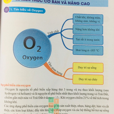 Sách - Bồi dưỡng học sinh giỏi Khoa học tự nhiên 6