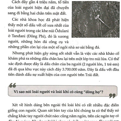 11 Vạn Câu Hỏi Vì Sao (Tái Bản 2021)