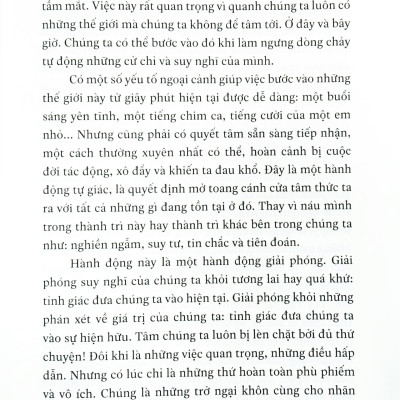 Thiền Định Mỗi Ngày - Một Cẩm Nang Nhỏ Giúp Luôn Sống Trong Tỉnh Thức