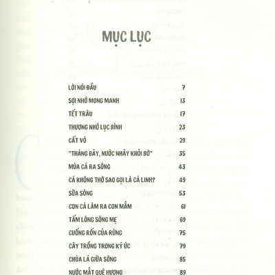 Những Hạt Bùn Vạn Dặm