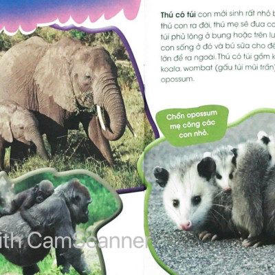 Độc Lạ Phi Thường - Thú Con Bé Bỏng