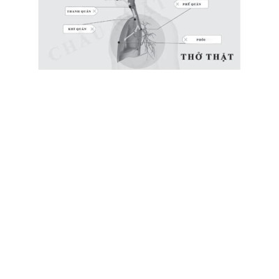 Sách - Thở Thật - Thở Giả - Thay Đổi Nhỏ-Khác Biệt To - Bí Quyết Nổi, Bơi Xa Không Mệt