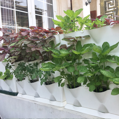 Khung Trồng cây ban công đứng Minigarden Vertical phong cách Châu Âu (1m2 gồm 8 module + 1 khay hứng nước) Kèm hệ thống tưới nhỏ giọt. Với 1 module trồng được 3 hóc cây. Thích hợp cho cả trồng rau sạch đứng