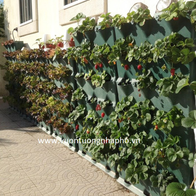 08 Chậu trồng rau thông minh Không thay đất Vertical (Màu Xanh) có tưới nhỏ giọt và bón phân Bán tự động nhập khẩu Bồ Đào Nha ( dành khu vực Không có vòi cấp)