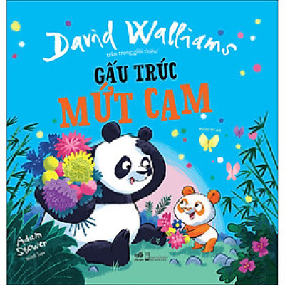 Gấu Trúc Mứt Cam