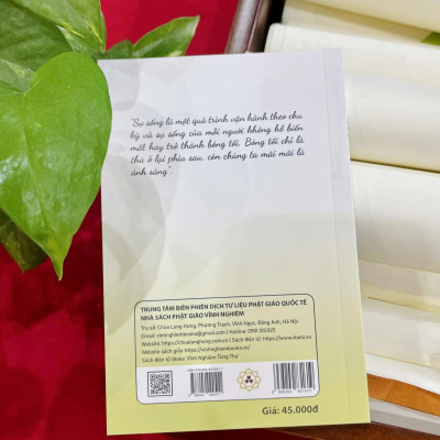 Sách - Trải nghiệm và tận hưởng cái đẹp trong cuộc sống - Hòa thượng Thánh Nghiêm - Vĩnh nghiêm Books