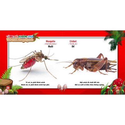 Sách - Cùng Bé Khám Phá Thế Giới Xung Quanh Thế Giới Côn Trùng - Song Ngữ Anh Việt - Việt Thư