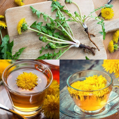 Combo 05 hộp Trà Bồ Công Anh 50 túi lọc P&K - Ngừa ung thư, mát gan, giải độc, giảm viêm họng, ổn định huyết áp, đường máu, thanh lọc cơ thể