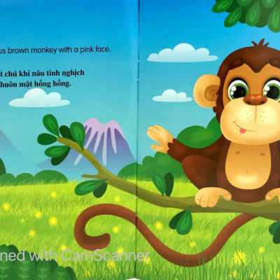 Bộ Sách Những Câu Chuyện Về Thế Giới Loài Vật 2 (Bộ 6 Cuốn)