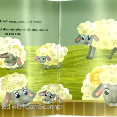 Bộ Sách Những Câu Chuyện Về Thế Giới Loài Vật 2 (Bộ 6 Cuốn)