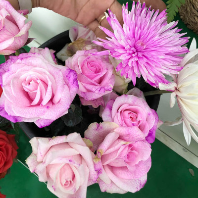 Nước Nhuộm Hoa Tươi Màu Hồng (Set 2 Chai) theo công nghệ Israel Color Sodium For Fresh Flowers giúp nhuộm đổi màu hoa cắt cành thành màu hồng đậm Pink