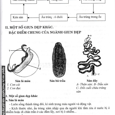Sách tham khảo_BỒI DƯỠNG HỌC SINH GIỎI SINH HỌC 7 (BIÊN SOẠN THEO CHƯƠNG TRÌNH GDPT MỚI)_HA