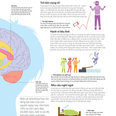 Sách Bách Khoa Thư Về Phát Triển Kỹ Năng - Tuổi Dậy Thì