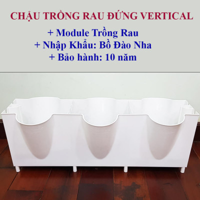 CHẬU TRỒNG RAU BAN CÔNG THẲNG ĐỨNG NÔNG NGHIỆP CÔNG NGHỆ CAO BỒ ĐÀO NHA