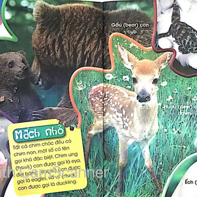 Độc Lạ Phi Thường - Thú Con Bé Bỏng