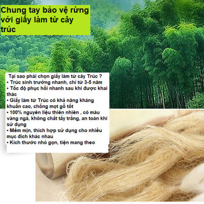 combo 6 gói khăn giấy gấu trúc - không chất tẩy trắng