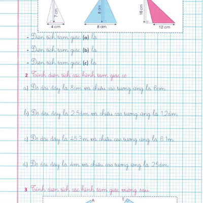 Sách - Vở Ô Li Bài Tập Toán 5/2 (Bám Sát SGK Cánh Diều)