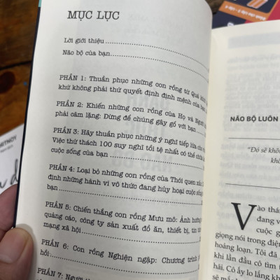 ĐÁNH THỨC NÃO BỘ: KÍCH HOẠT NĂNG LỰC TIỀM ẨN CỦA NÃO BỘ ĐỂ LOẠI BỎ SUY NGHĨ VÀ HÀNH VI TIÊU CỰC - Daniel G. Amen, MD - Bizbooks - NXB Hồng Đức.