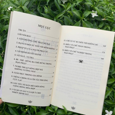 Sách - Phật Pháp Trong Đời Sống - Ni Sư Pháp Hỷ - Vĩnh Nghiêm Books