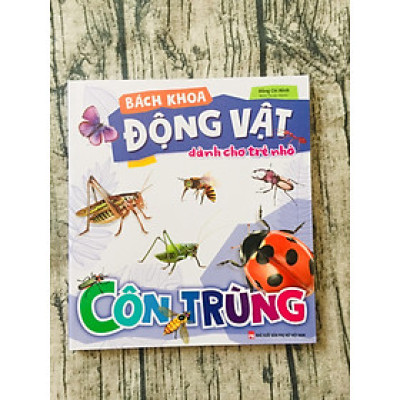 Sách - Bách Khoa Động Vật Dành Cho Trẻ Nhỏ - Côn Trùng