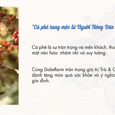 Hộp Quà Cà Phê Cầu Đất Dalat Farm - Arabica - Robusta - Phin (Dạng bột)