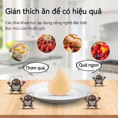 Combo 2 hộp thuốc diệt gián sinh học Housheng, diệt tận gốc tất cả các loại gián, hiệu quả, an toàn.