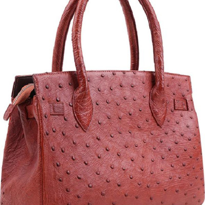 Túi Xách Da Đà Điểu Huy Hoàng HT6402 (32 x 25 cm) - Nâu Đỏ