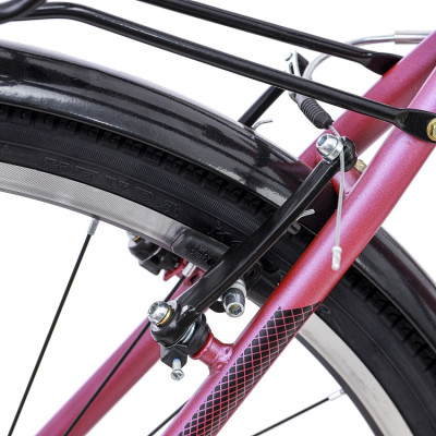 Xe đạp Thống Nhất thể thao GN06 2.0 pro Blackpink phiên bản đặc biệt