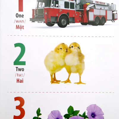 THƯ VIỆN HÌNH ẢNH SONG NGỮ ĐẦU TIÊN CỦA BÉ - CHỮ CÁI VÀ SỐ ĐẾM_VT