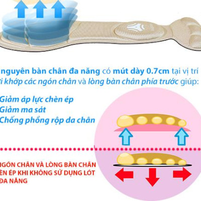 Combo 01 cặp lót giày nguyên bàn chân đa năng và 01 cặp lót giày bảo vệ gót chân 2 trong 1_buybox_BBPK11&09