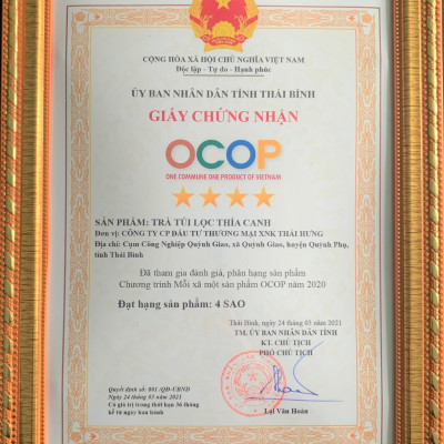 Trà Thìa canh Thái Hưng - Combo 10 hộp 25 túi lọc 5g Hạ và ổn định đường huyết, phòng ngừa biến chứng tiểu đường, hạ mỡ máu