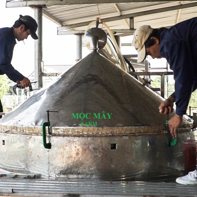 Tinh dầu Chanh tươi (Chanh Thái) 100ml Mộc Mây - tinh dầu thiên nhiên nguyên chất 100% - chất lượng và mùi hương vượt trội - Có kiểm định