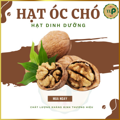 HẠT ÓC CHÓ TÂN LỘC PHÁT THƠM NGON BỔ DƯỠNG