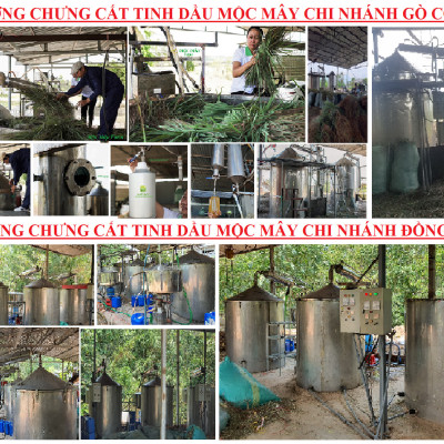 Tinh dầu hoa Lài (nhài) 50ml Mộc Mây - nguyên chất 100% từ thiên nhiên - chất lượng và mùi hương vượt trội