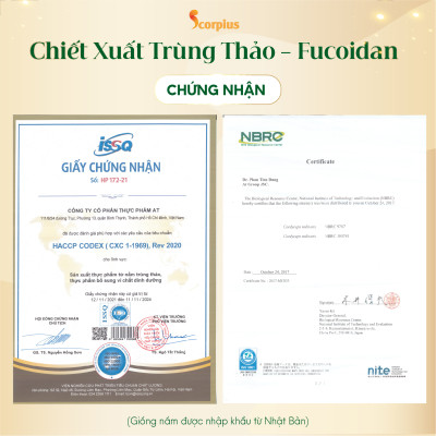 [LOẠI THƯỢNG HẠNG] Nước chiết xuất trùng thảo fucoidan không đường SCORIUS 420ml bồi bổ sức khỏe