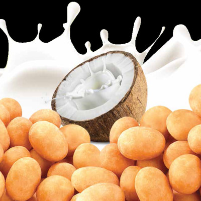 ĐẬU PHỘNG CỐT DỪA SẤY GIÒN TÂN LỘC PHÁT