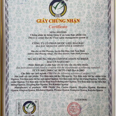 Trà Thảo Mộc Túi Lọc Hoạt Huyết Dưỡng Não Ogatea