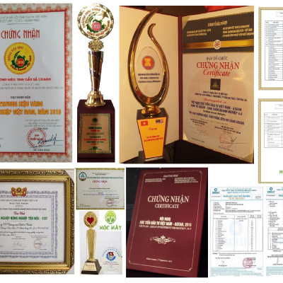 Tinh dầu Khuynh Diệp (bạch đàn) 10ml nguyên chất từ thiên nhiên - Mộc Mây