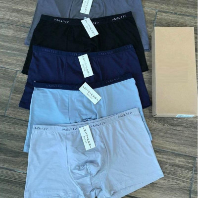 Bộ 5 Quần Lót Nam Đùi Xuất Nhật Chất Mát (Màu Ngẫu Nghiên)