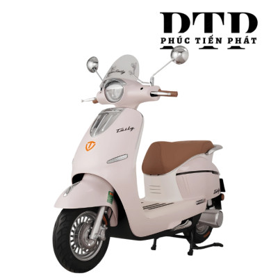 Xe Máy Điện TAILG R71