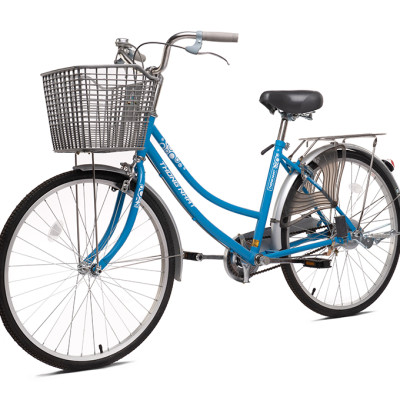 Xe đạp Thống Nhất mini 219 –24/ 26″