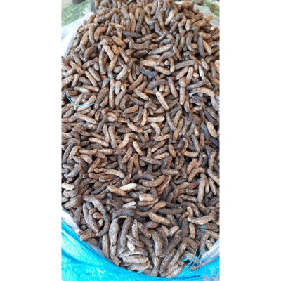 Đặc Sản Kon Tum - (Được Xem Hàng) Combo 3 Bì Chuối Hột Rừng Kon Tum Hút Chân Không (3Kg) - OCOP 3 Sao