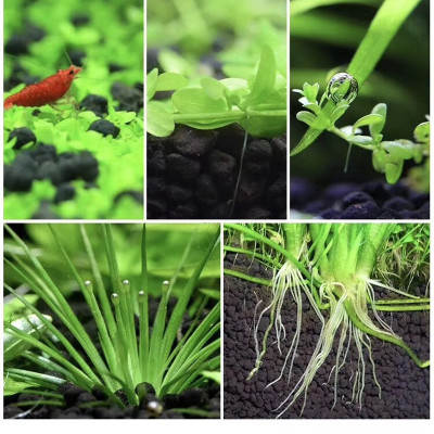 Đá Nham Thạch 2KG + Phân nền Dia Max AQua túi 2KG cho hồ thủy sinh