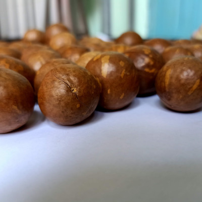 Hạt mắc ca nứt vỏ sấy tự nhiên_Thơm béo bùi vị đặc trưng_ ngon_Dinh dưỡng dồi dào_Thương hiệu O