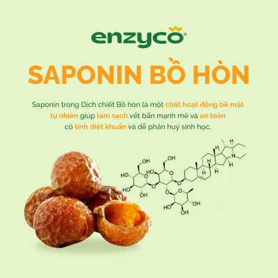 Combo Nước Lau Sàn 2L Và Nước Ngâm Rau Củ 1L ENZYCO