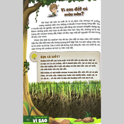 Bách Khoa Toàn Thư Dành Cho Trẻ Em - 10 Vạn Câu Hỏi Vì Sao - Tự Nhiên Kỳ Thú (Tái Bản 2024)