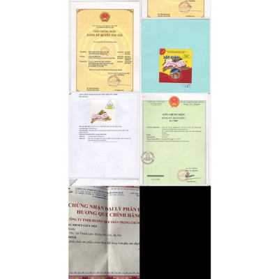 Lót giày Hương Quế CL06 chính hãng, êm, bền, bột quế thật, thơm, chống hôi chân và tốt cho sức khỏe.