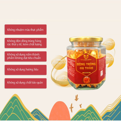 Đông trùng hạ thảo thượng hạng sấy khô 20gr/hũ