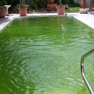 Đèn UV 30W Sterilization King Bóng Kép cao cấp, diệt tảo, diệt khuẩn cho bể cá, hồ cá, hồ thủy sinh siêu sạch ( Trắng) 