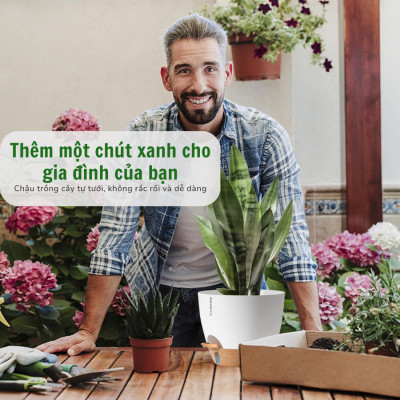 Chậu trồng cây tự tưới thông minh Monrovia A60 cho cây trong nhà và ngoài trời, decor, văn phòng